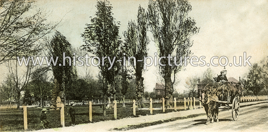 Woodside Green, South Norwood, London. c.1904